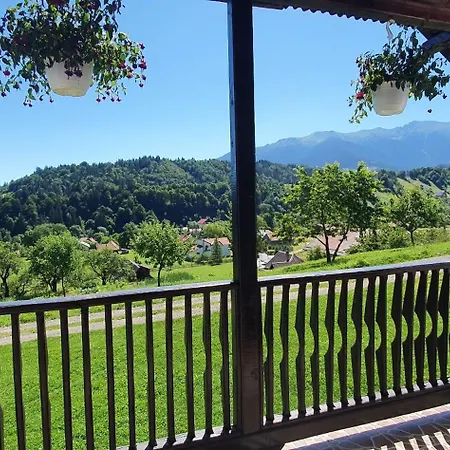 Country house Casa Elena - La Munte *